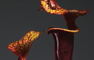 FABRICLIVE-93-PACKSHOT-L